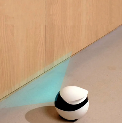 Robot Monitoring Mobile Camera