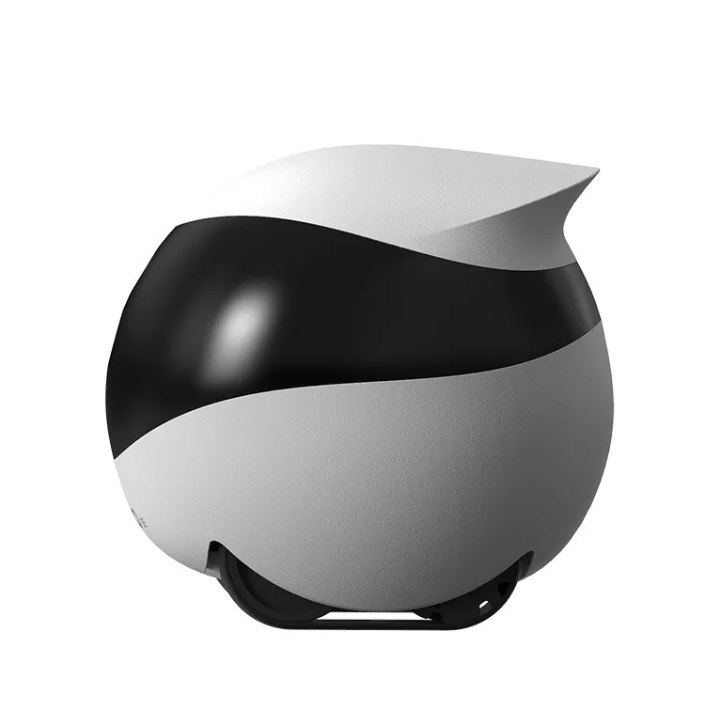 Robot Monitoring Mobile Camera